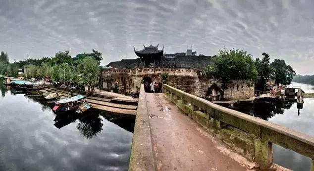 生猪市场新年遇冷!节后亏损或持续,二季度有望迎来转机